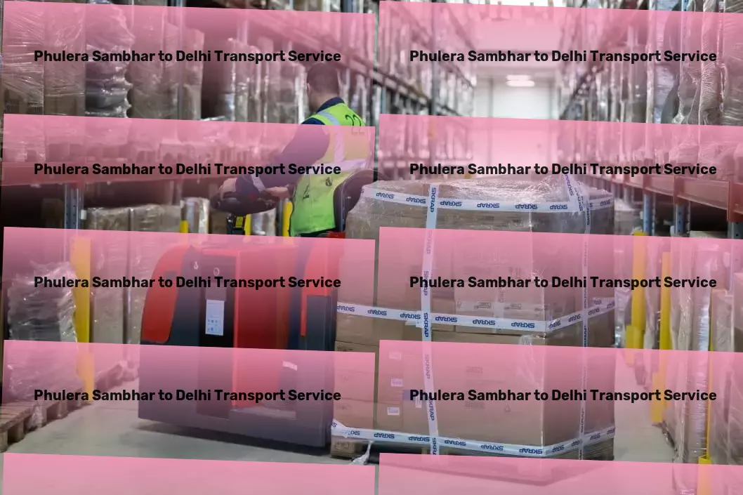 Phulera Sambhar to Delhi Transport Create unforgettable moments with unique party ideas! - Bulk cargo transport