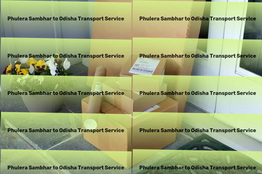 Phulera Sambhar to Odisha Transport Efficient cargo services