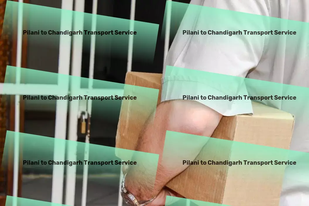 Pilani to Chandigarh Transport Connect deeply with nature through eco-friendly activities! - Customized cargo solutions