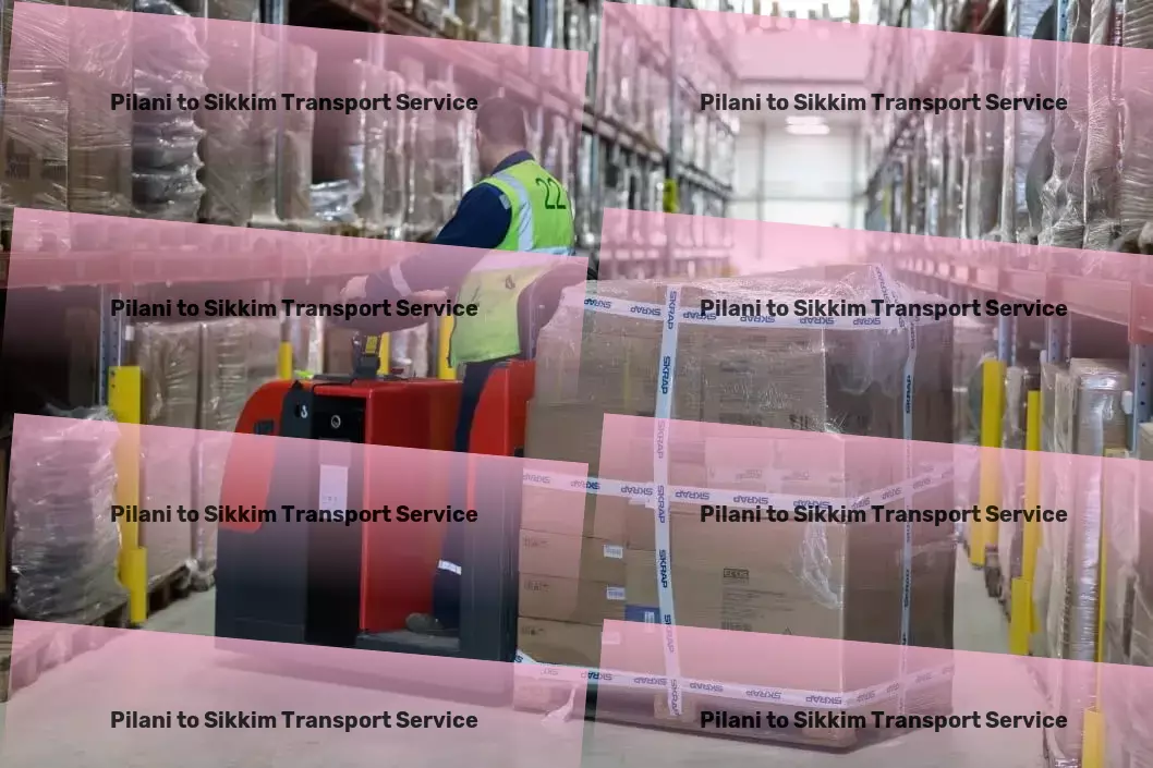 Pilani to Sikkim Transport Cargo shipping