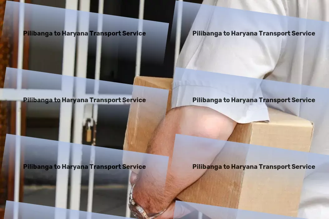 Pilibanga to Haryana Transport Nationwide courier operations