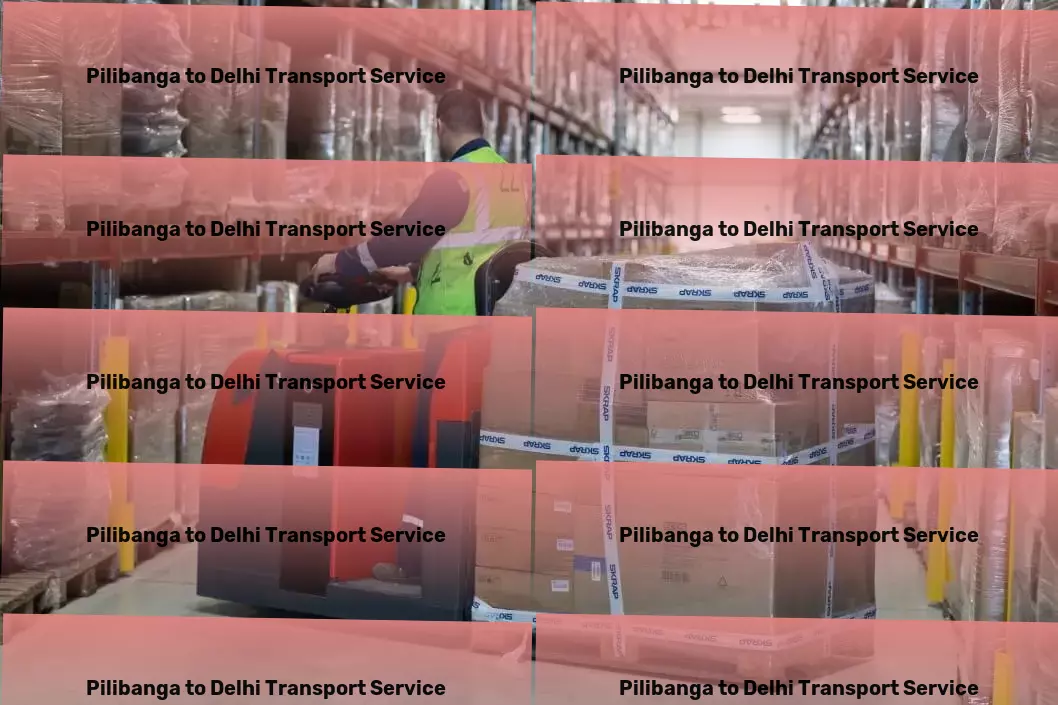 Pilibanga to Delhi Transport Moving and storage services