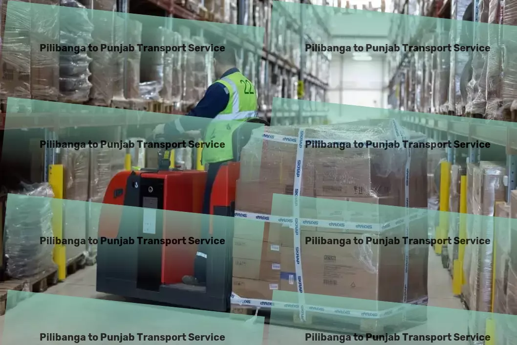 Pilibanga to Punjab Transport High-capacity goods delivery