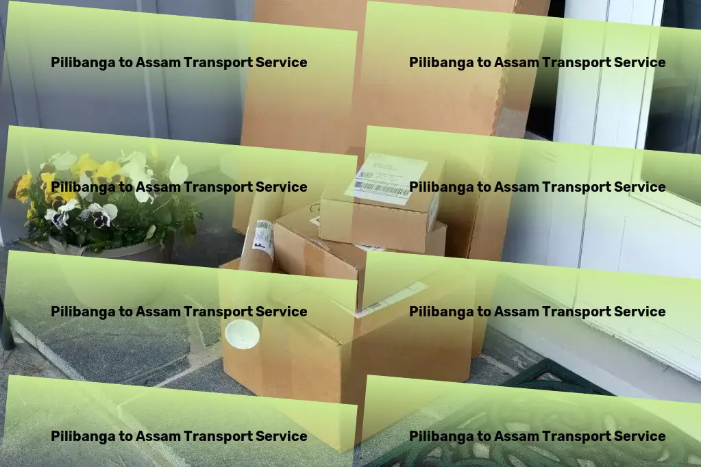 Pilibanga to Assam Transport Effortless transportation solutions in India, now within reach! - Express cargo solutions