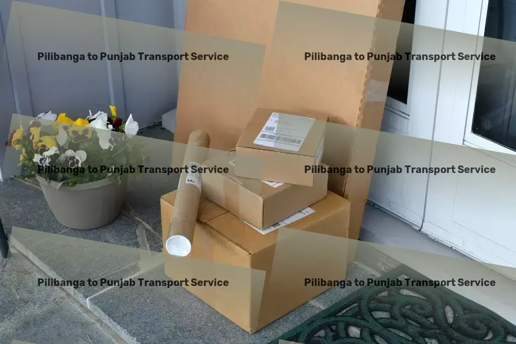 Pilibanga to Punjab Transport Effortless transportation solutions in India, now within reach! - Secure household parcel