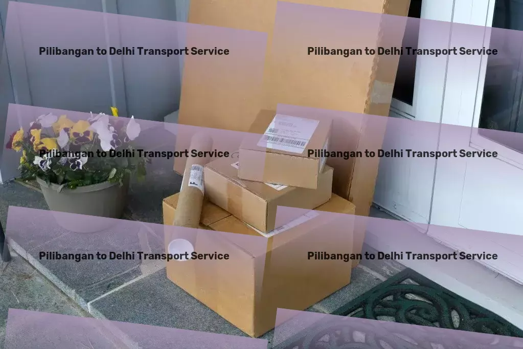 Pilibangan to Delhi Transport Advanced transport operations