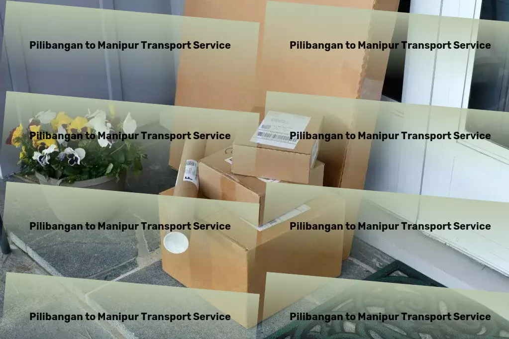 Pilibangan to Manipur Transport Efficient freight logistics