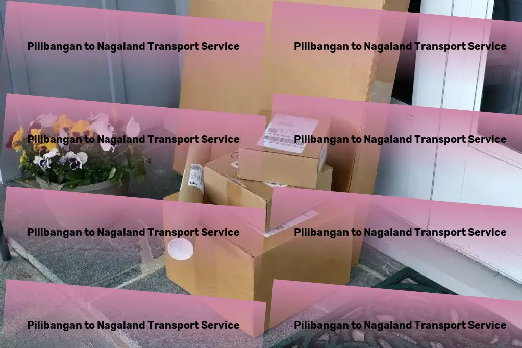 Pilibangan to Nagaland Transport Direct goods shipment