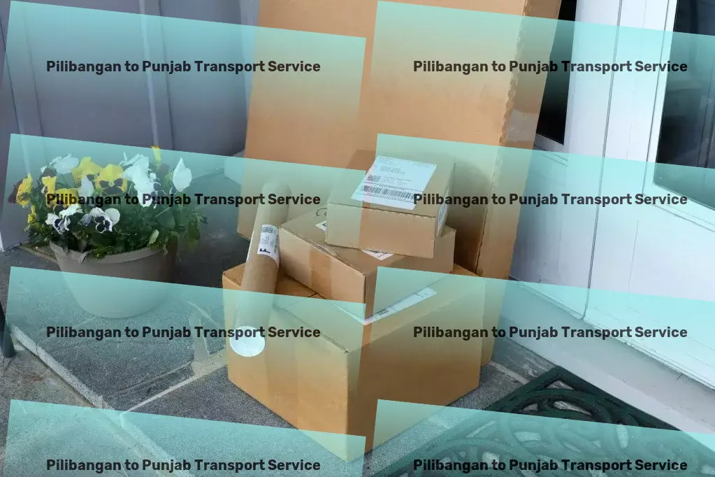 Pilibangan to Punjab Transport Redefining convenience with our digital services! - National freight logistics