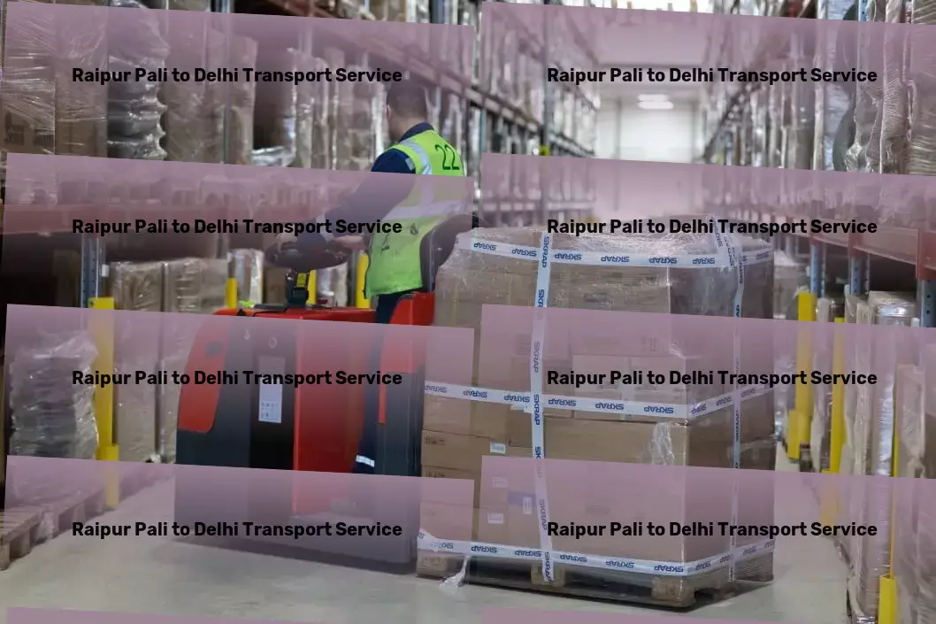 Raipur Pali to Delhi Transport Industrial package transport