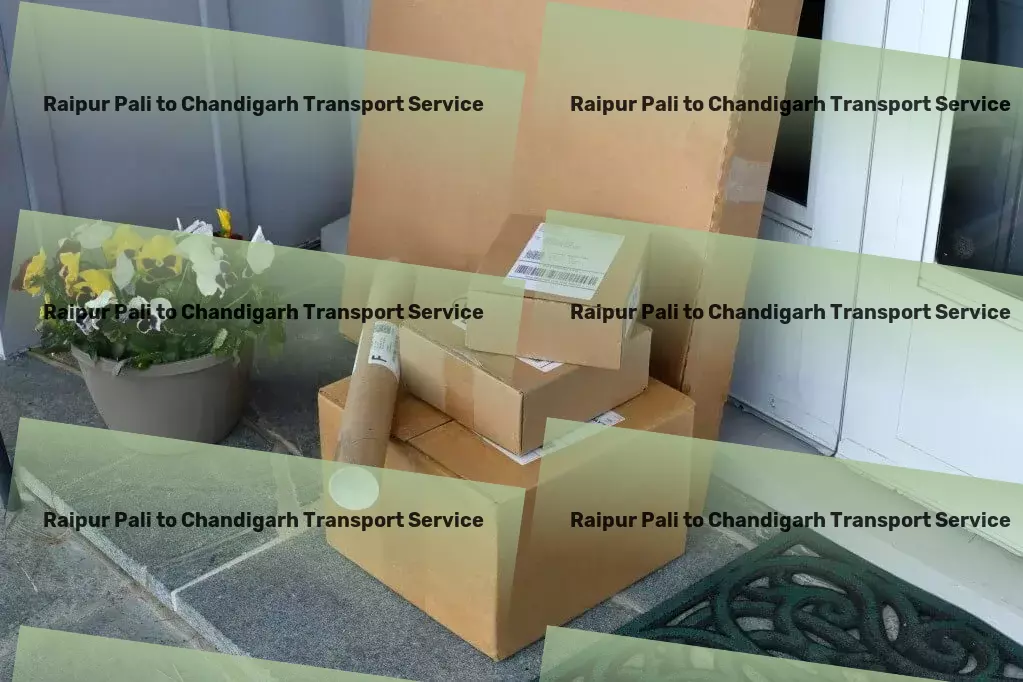 Raipur Pali to Chandigarh Transport Tailored courier solutions