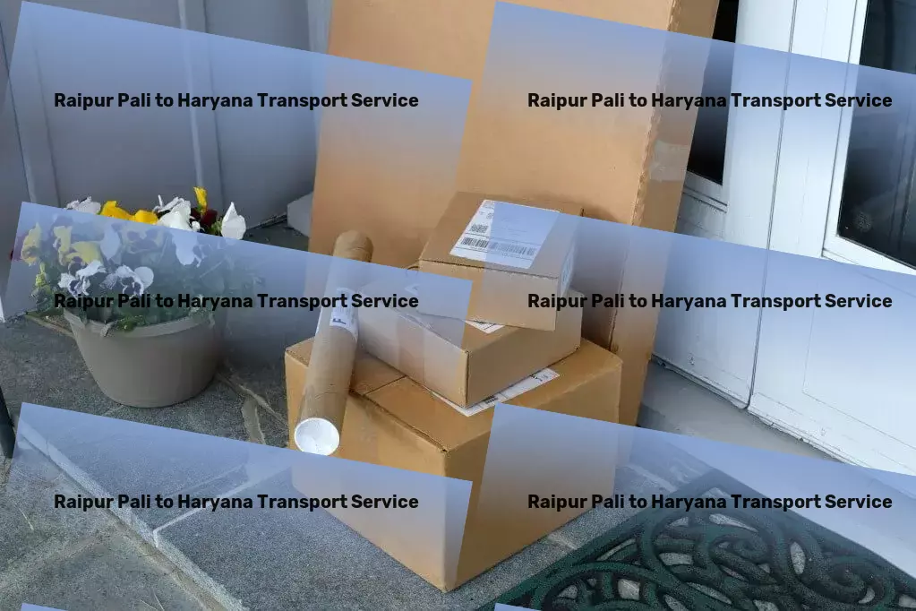 Raipur Pali to Haryana Transport Build a thriving garden that supports local wildlife. - High-speed goods delivery