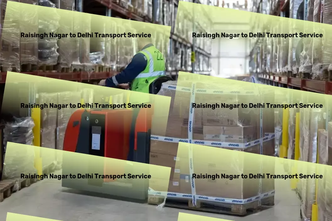 Raisingh Nagar to Delhi Transport Nationwide cargo forwarding