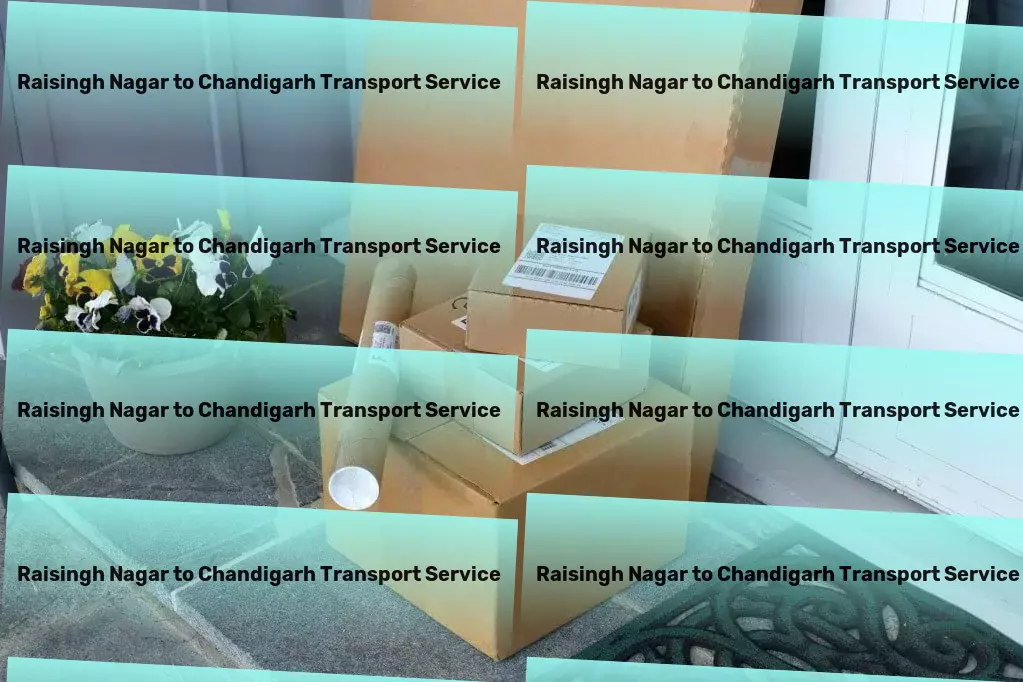 Raisingh Nagar to Chandigarh Transport Urban freight and shipment services