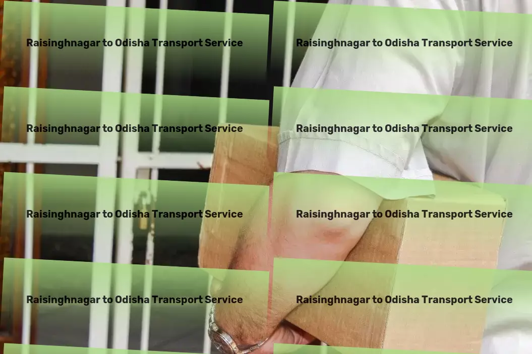 Raisinghnagar to Odisha Transport Commercial shipping solutions