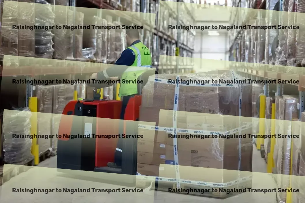 Raisinghnagar to Nagaland Transport National cargo shipment solutions