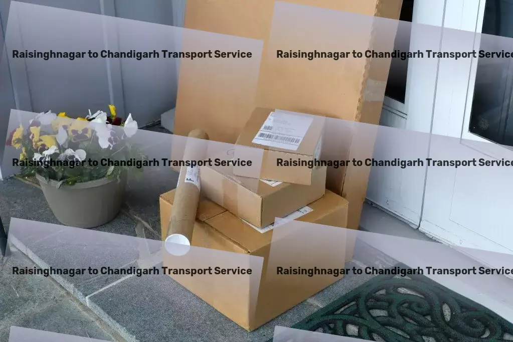 Raisinghnagar to Chandigarh Transport Create unforgettable moments with unique party ideas! - Efficient cargo transport services