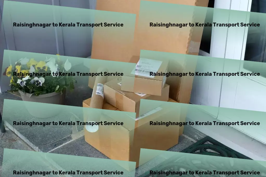 Raisinghnagar to Kerala Transport Specialized transport and shipment