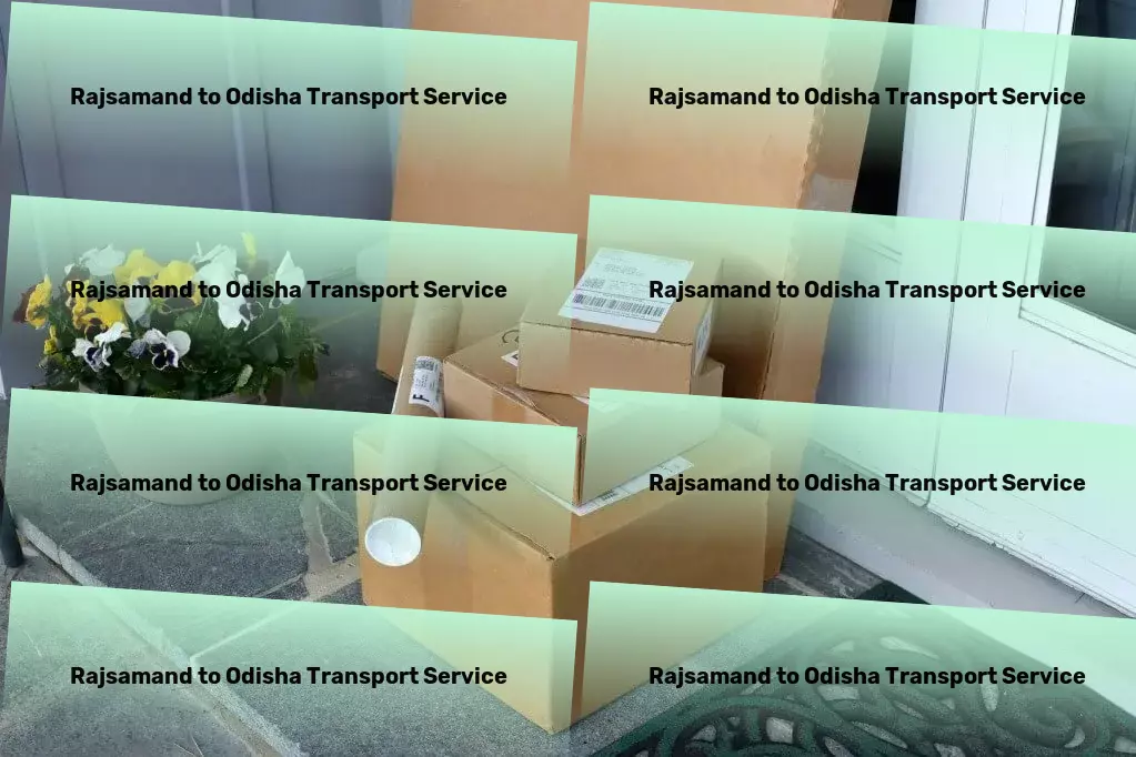 Rajsamand to Odisha Transport Specialized goods shipment services